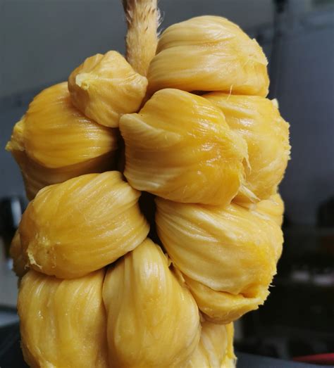 dám cuói của co hè mít uót 2016 thuyet minh.